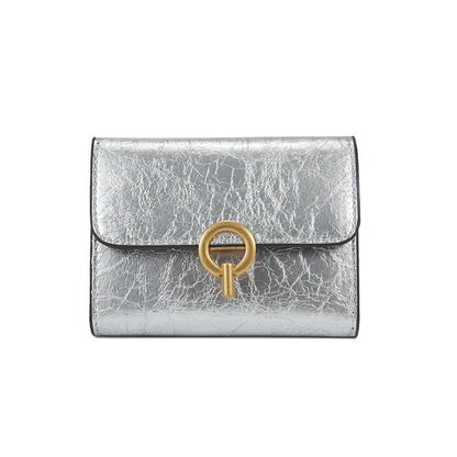 Porte-cartes en Cuir argent